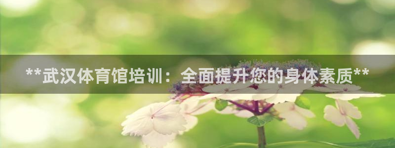 焦点娱乐app下载官网苹果版：**武汉体育馆培训：全