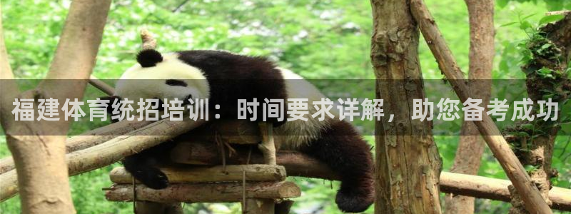 焦点娱乐招商注册 知乎：福建体育统招培训：时间要求详