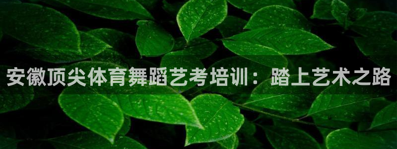 焦点娱乐传媒有限公司怎么样啊知乎：安徽顶尖体育舞蹈艺