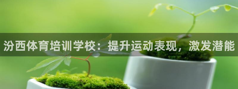 焦点娱乐平台注册账号怎么注销：汾西体育培训学校：提升