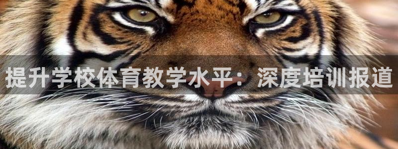 焦点娱乐app下载官网最新版：提升学校体育教学水平：