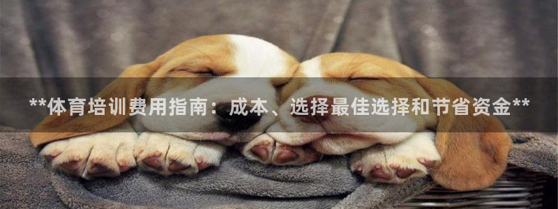 焦点娱乐星的视频：**体育培训费用指南：成本、选择最