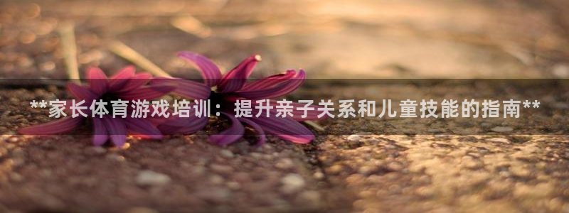 焦点娱乐平台怎么样：**家长体育游戏培训：提升亲子关