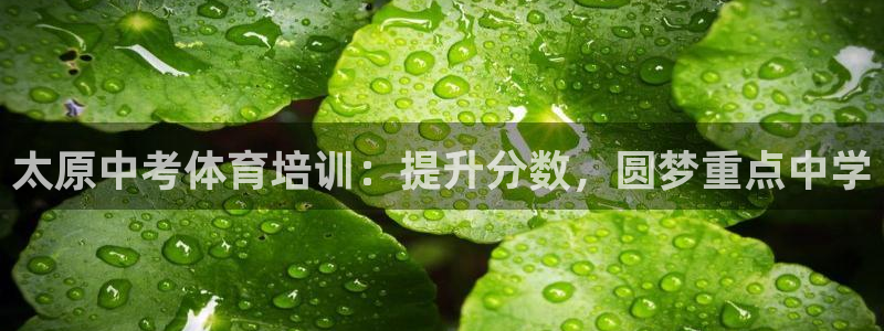 焦点娱乐app下载官网
