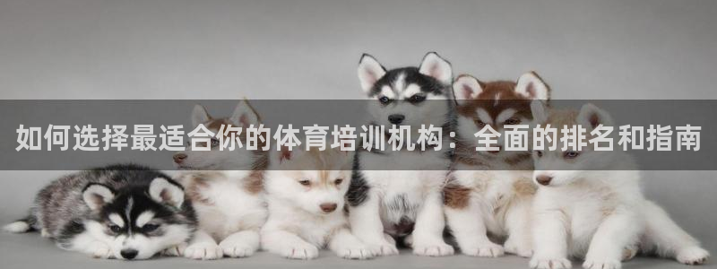 焦点娱乐门徒娱乐骗局曝光：如何选择最适合你的体育培训