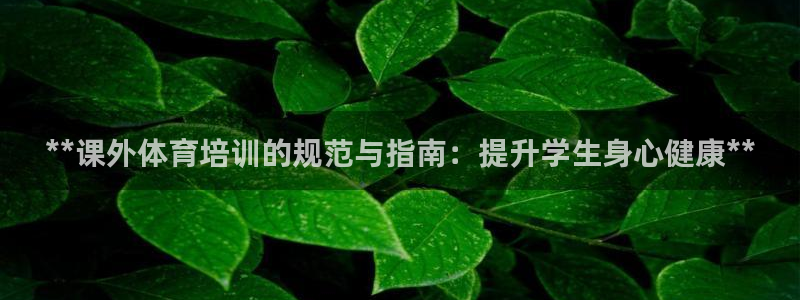 焦点娱乐下载手机版官网：**课外体育培训的规范与指南