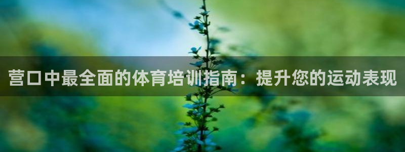 焦点娱乐公司是干嘛的：营口中最全面的体育培训指南：提