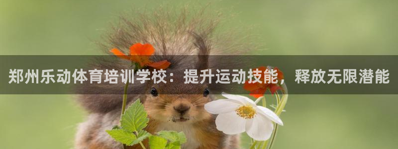 焦点平台娱乐：郑州乐动体育培训学校：提升运动技能，释