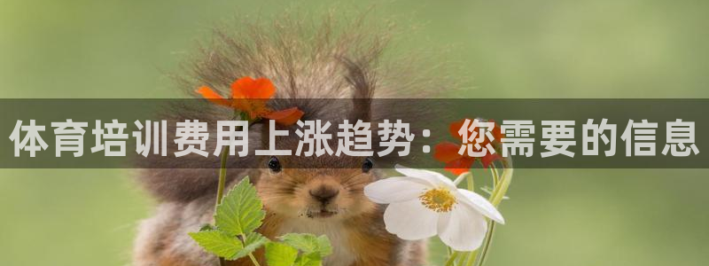 焦点娱乐平台客服电话号码查询：体育培训费用上涨趋势：