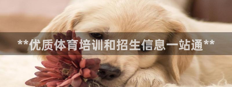 焦点娱乐平台注册账号是什么样的：**优质体育培训和招