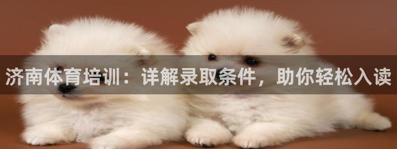 焦点娱乐游戏怎么玩：济南体育培训：详解录取条件，助你