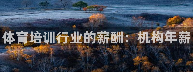 焦点娱乐官网首页下载：体育培训行业的薪酬：机构年薪
