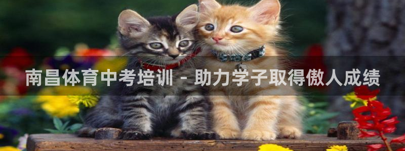 焦点娱乐：南昌体育中考培训 - 助力学子取得傲人成绩