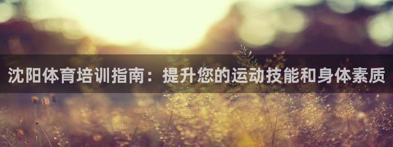 焦点娱乐下载手机版官网：沈阳体育培训指南：提升您的运