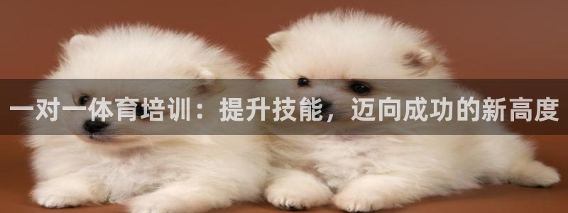 焦点娱乐平台账号在哪注册的：一对一体育培训：提升技能