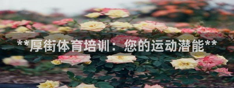 焦点娱乐平台账号在哪注册的：**厚街体育培训：您的运