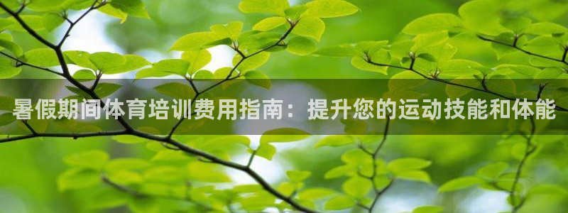 焦点娱乐官方网站下载安装苹果：暑假期间体育培训费用指