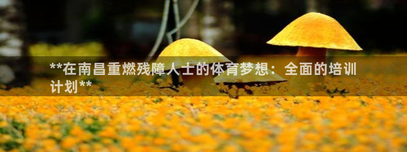 焦点娱乐股东有哪些：**在南昌重燃残障人士的体育梦想