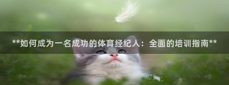 焦点娱乐拉菲：**如何成为一名成功的体育经纪人：全面