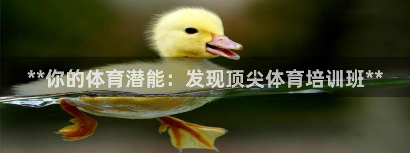 焦点娱乐全国总冠军是谁：**你的体育潜能：发现顶尖体