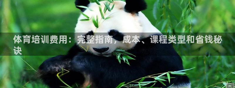 焦点娱乐全国总冠军有哪些：体育培训费用：完整指南，成
