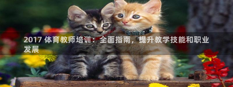 焦点娱乐跨服：2017 体育教师培训：全面指南，提升