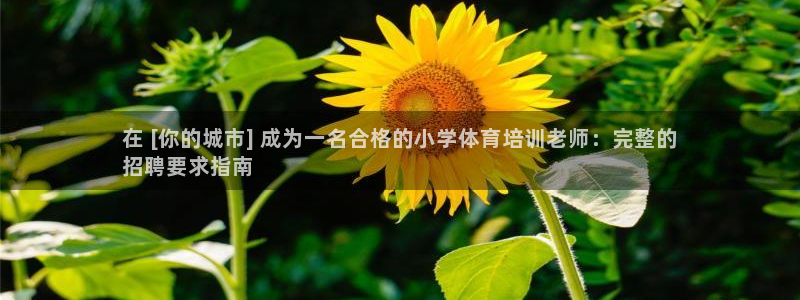 焦点娱乐如何注册账号的：在 [你的城市] 成为一名合