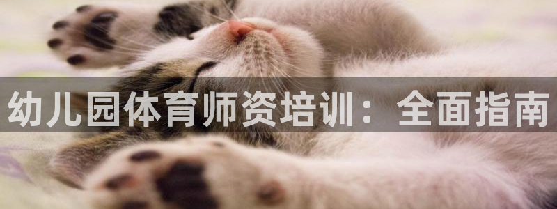 焦点娱乐游戏怎么玩：幼儿园体育师资培训：全面指南