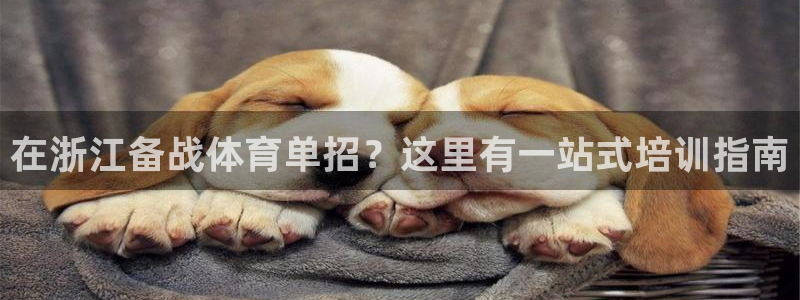 焦点娱乐全国总冠军：在浙江备战体育单招？这里有一站式培训指南