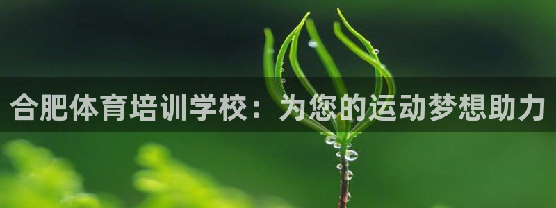 焦点娱乐传媒有限公司官网电话：合肥体育培训学校：为您