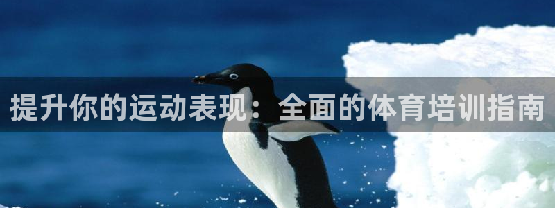 焦点娱乐ktv：提升你的运动表现：全面的体育培训指南