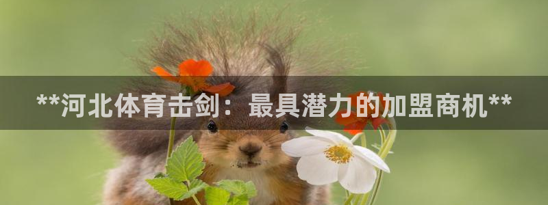焦点娱乐传媒有限公司怎么样啊赚钱吗：**河北体育击剑
