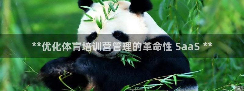 焦点娱乐传媒有限公司怎么样呀：**优化体育培训营管理