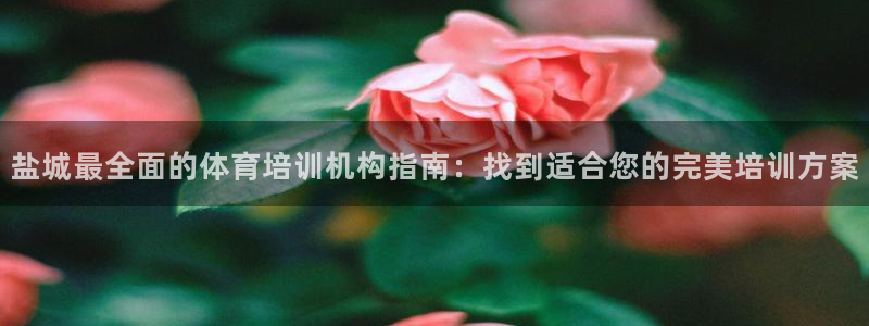 焦点娱乐公司官网：盐城最全面的体育培训机构指南：找到适合您的