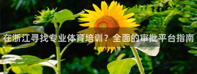 焦点娱乐家 5O6917 焦点：在浙江寻找专业体育培