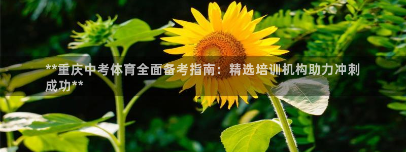 焦点娱乐黑平台：**重庆中考体育全面备考指南：精选培