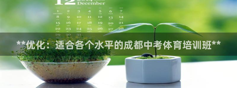 焦点娱乐传媒有限公司怎么样：**优化：适合各个水平的