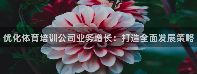 焦点娱乐app下载官网最新版本：优化体育培训公司业务