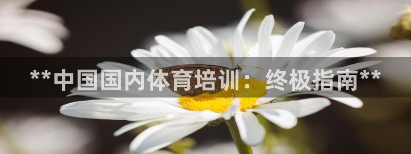 焦点娱乐app下载苹果版：**中国国内体育培训：终极