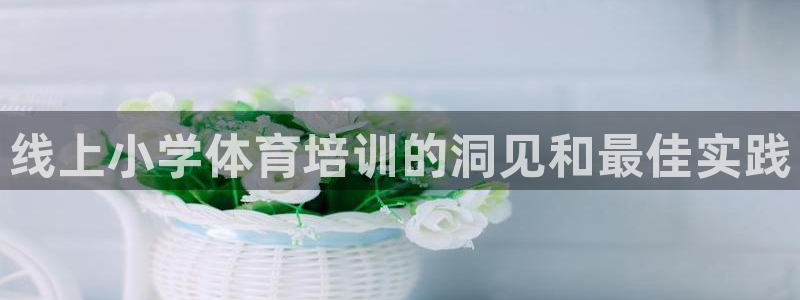 焦点娱乐官方网站下载：线上小学体育培训的洞见和最佳实践