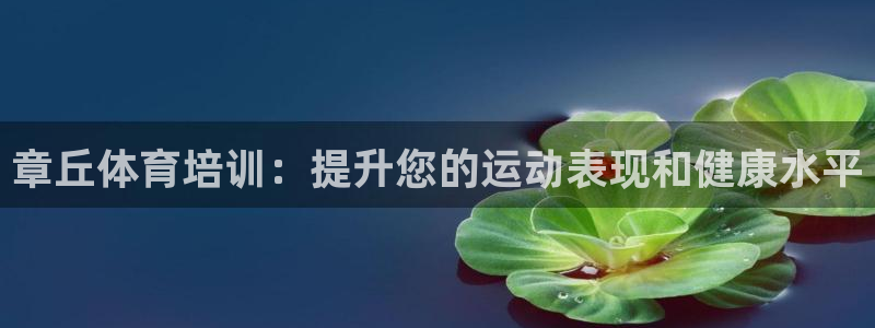 焦点娱乐app下载官网苹果版：章丘体育培训：提升您的运动表现
