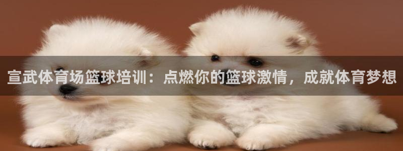 焦点娱乐平台果7O777：宣武体育场篮球培训：点燃你