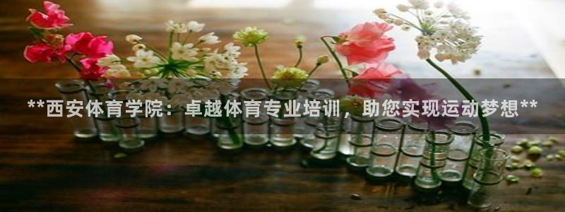 焦点娱乐说说句子：**西安体育学院：卓越体育专业培训，助您实