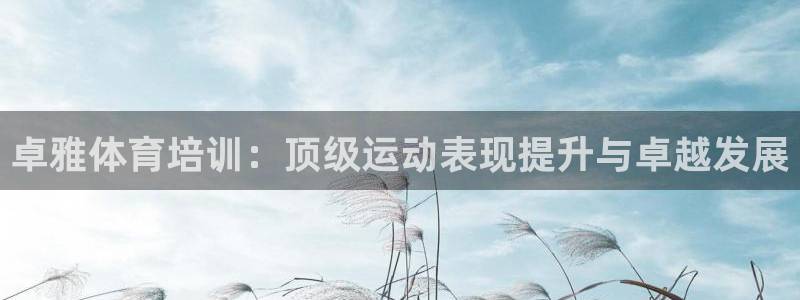 焦点娱乐app下载安装方式最新：卓雅体育培训：顶级运动表现提