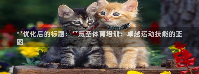 焦点娱乐官方网站入口在线观看：**优化后的标题：**赢圣体育