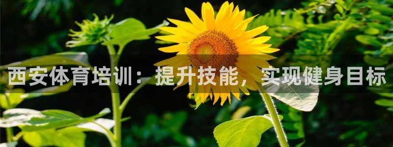 焦点娱乐平台总代理开户：西安体育培训：提升技能，实现健身目标
