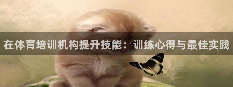 焦点娱乐星：在体育培训机构提升技能：训练心得与最佳实践
