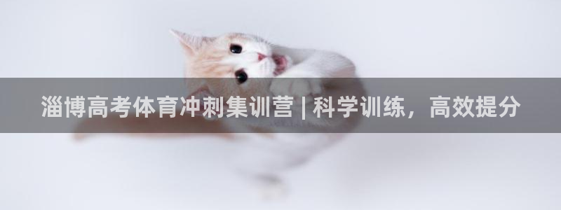 焦点娱乐股东有哪些：淄博高考体育冲刺集训营 | 科学训练，高