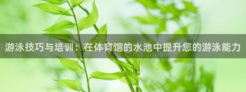 焦点娱乐传媒有限公司是干嘛的公司：游泳技巧与培训：在体育馆的