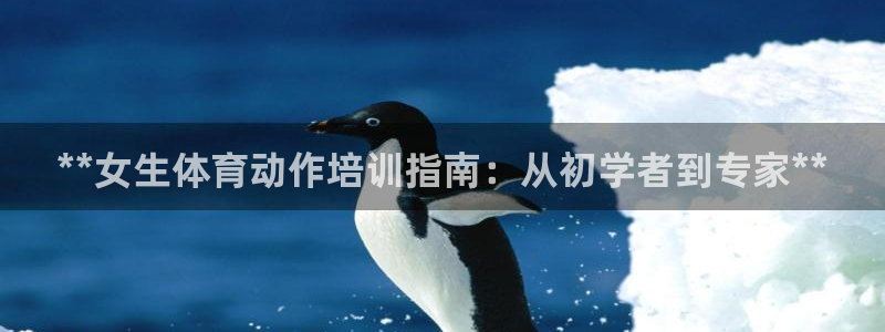 焦点娱乐传媒有限公司官网首页：**女生体育动作培训指南：从初